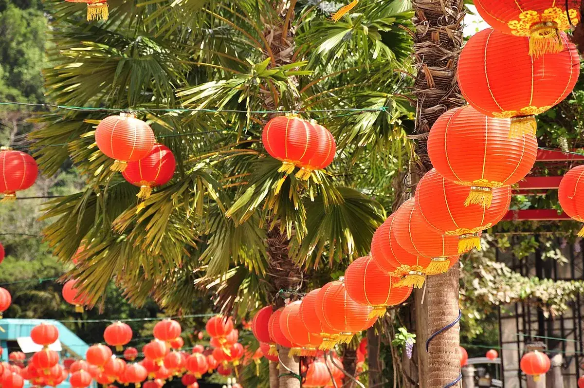 គោមក្រហមរាងមូលជាច្រើន ព្យួរតាមដើមឈើ នៅតាមដងផ្លូវ